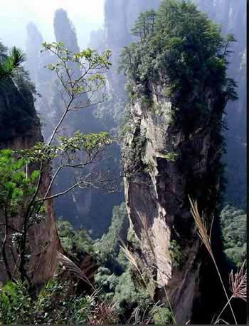 長(zhǎng)沙出發(fā)到張家界溶洞奇觀黃龍洞、國(guó)家森林公園、袁家界、峰林之王天子山三日游（早班）