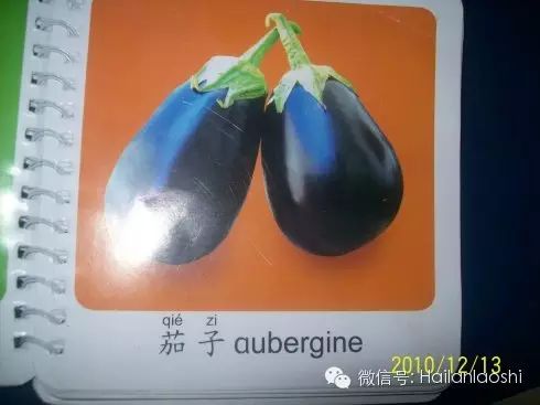 橘子英语图片大全_橘子的作用及图片介绍英语_橘子英语图片加单词