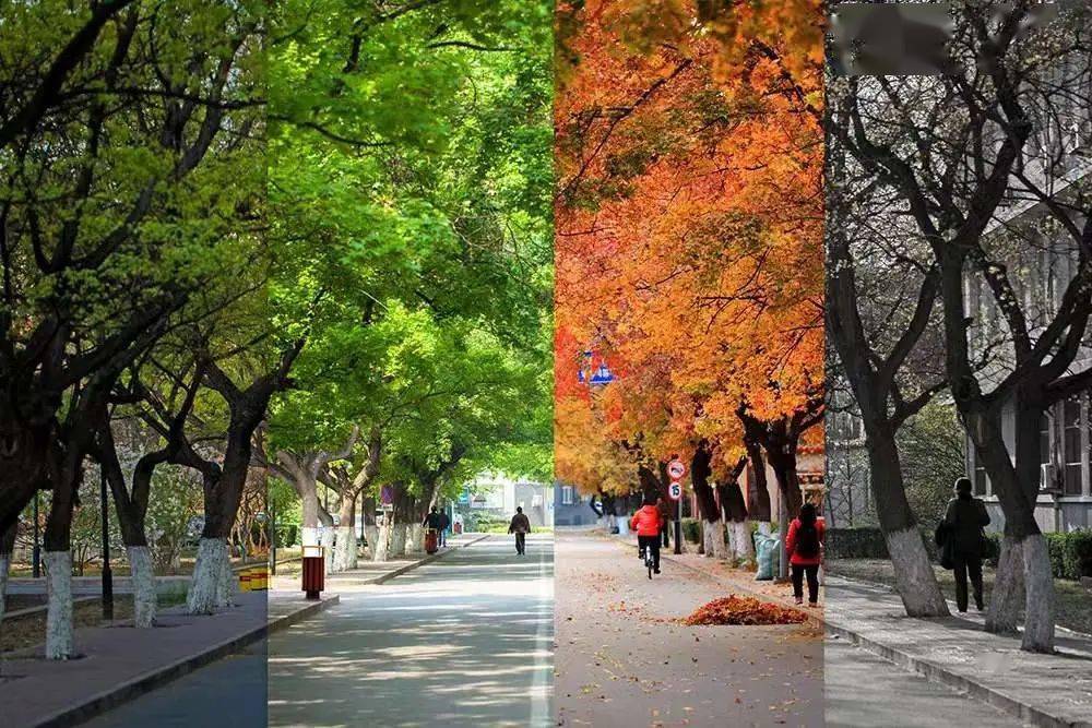 药学专业顶尖大学英语考研_药学英语考研国家线_药学专业英语好有什么优势吗