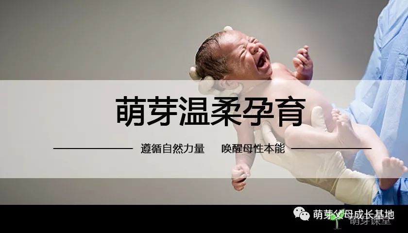 生活小常识霞姐_霞姐的北京生活百家号_霞姐美食生活