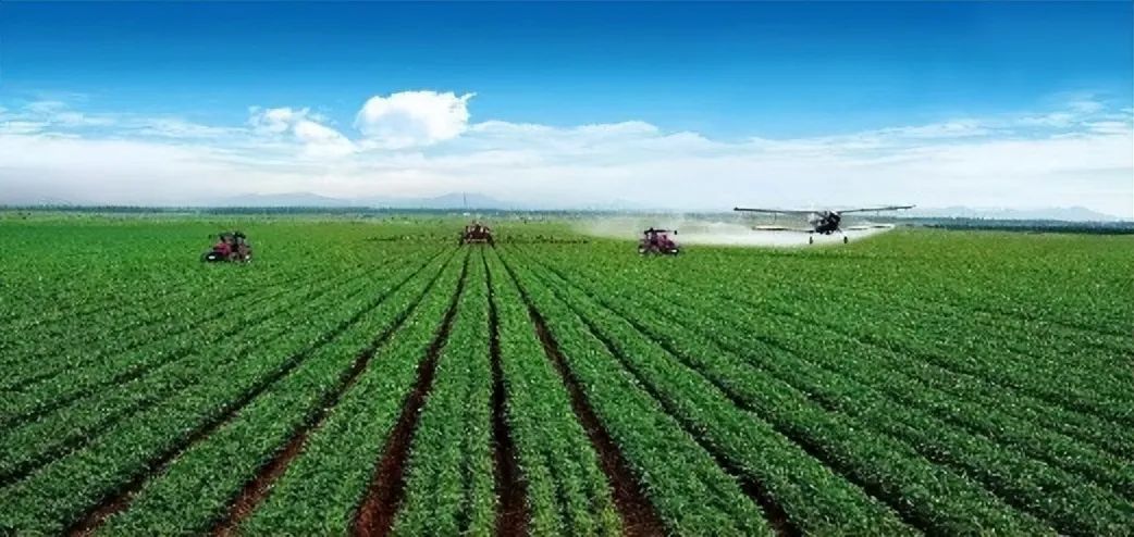 生活小常识霞姐_霞姐美食生活1_霞姐2021年做饭视频
